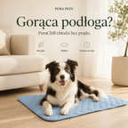 PuraChill chłodzi bez prądu - cechy