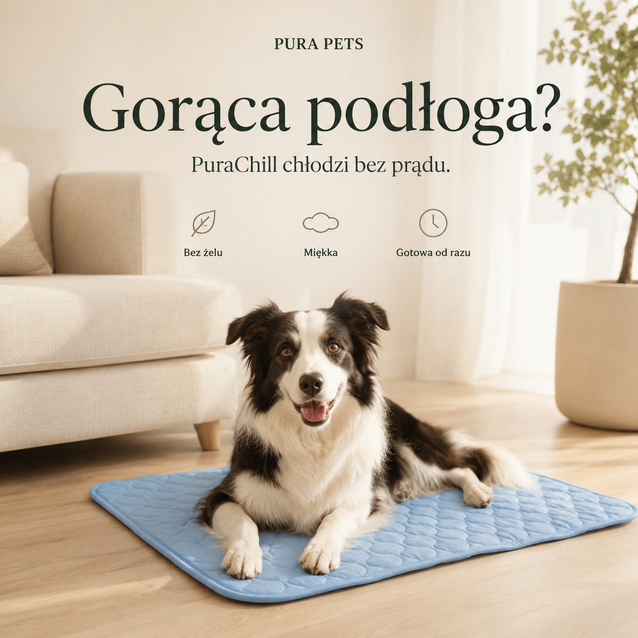 PuraChill chłodzi bez prądu - cechy