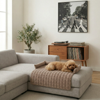 Eleo™ Sofa Shield Designerska Mata Ochronna na Sofę