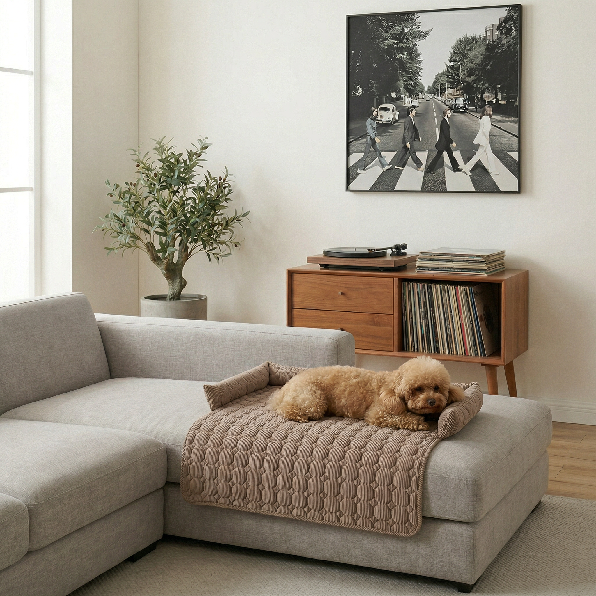 Eleo™ Sofa Shield Designerska Mata Ochronna na Sofę